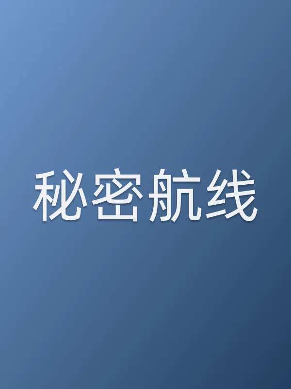 《秘密航线电视剧