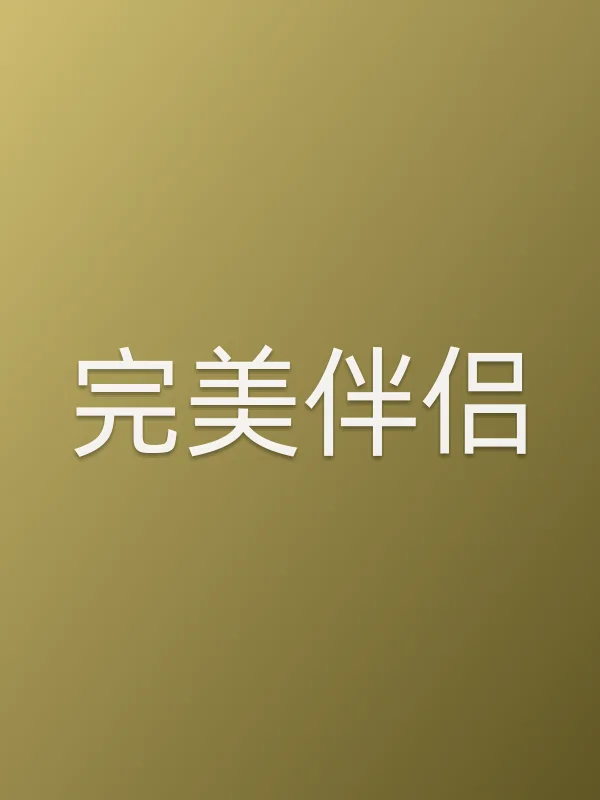 《完美伴侣》电视剧