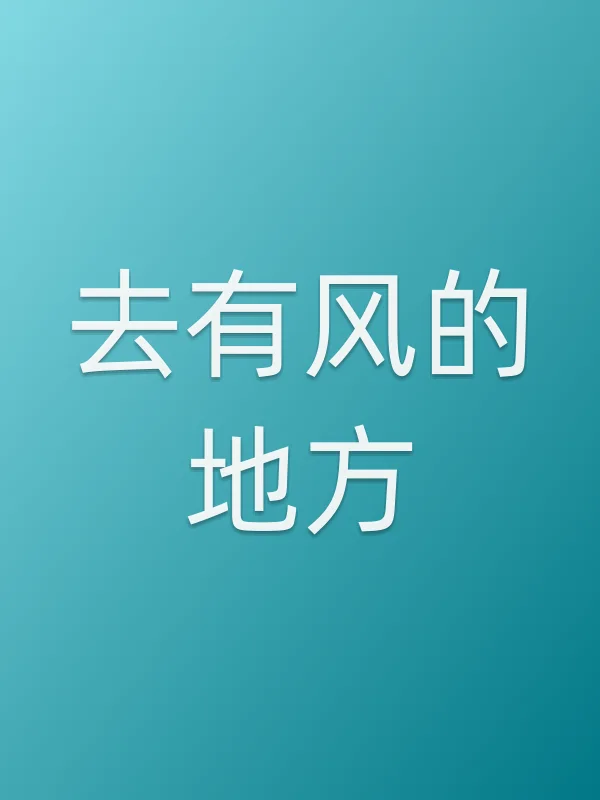 《去有风的地方电视剧