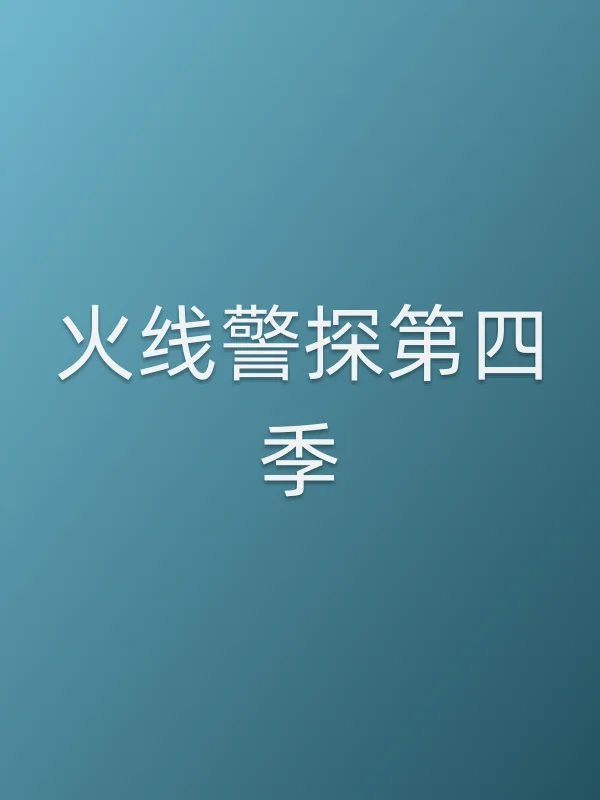 火线警探第四季