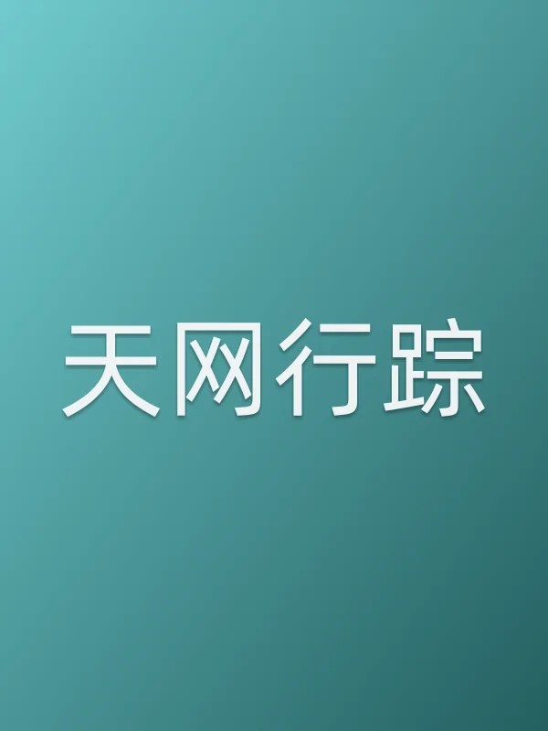 《天网行踪》电视剧