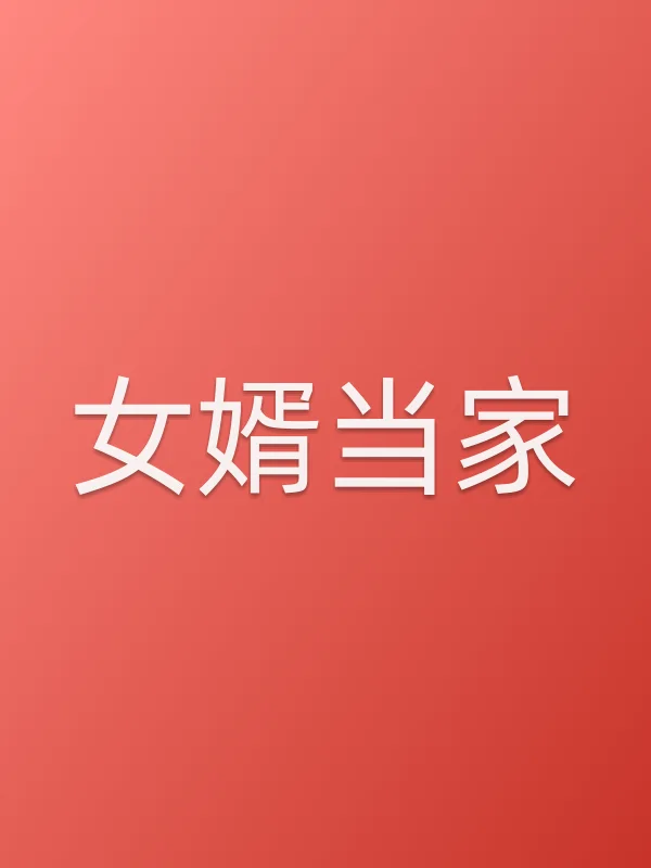 女婿当家