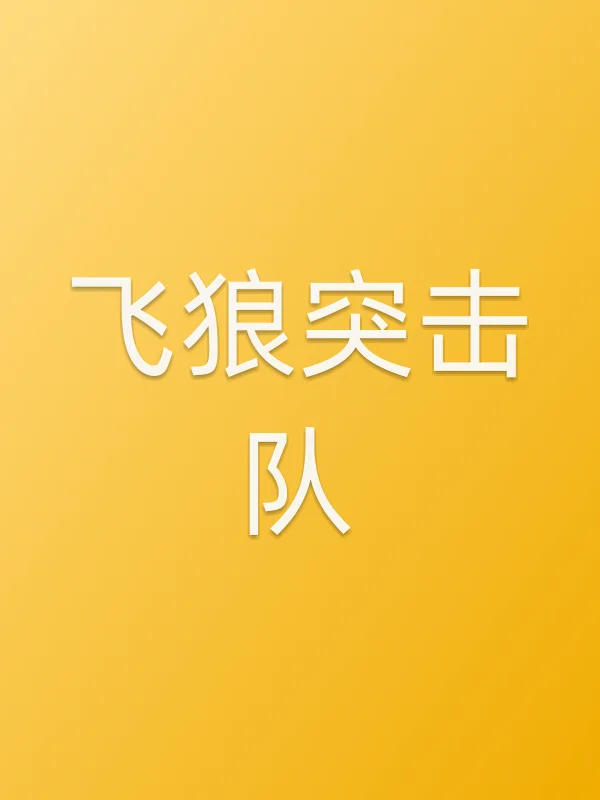 飞狼突击队