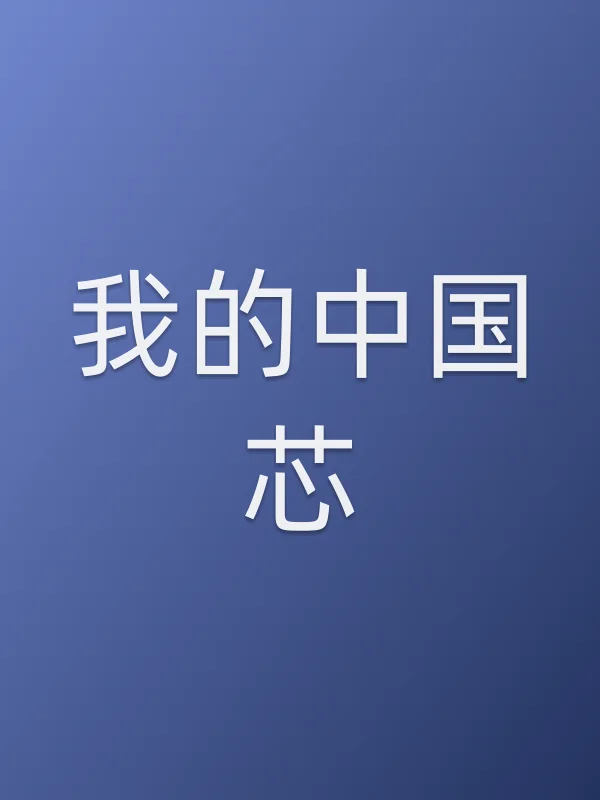 我的■■芯