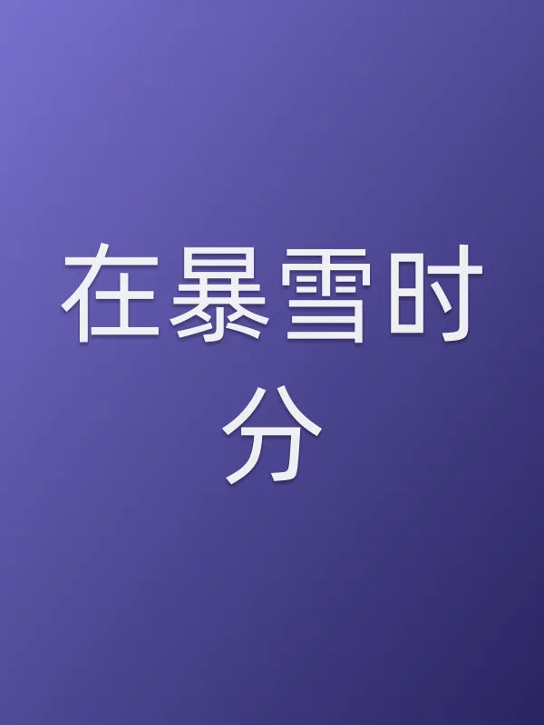 在暴雪时分