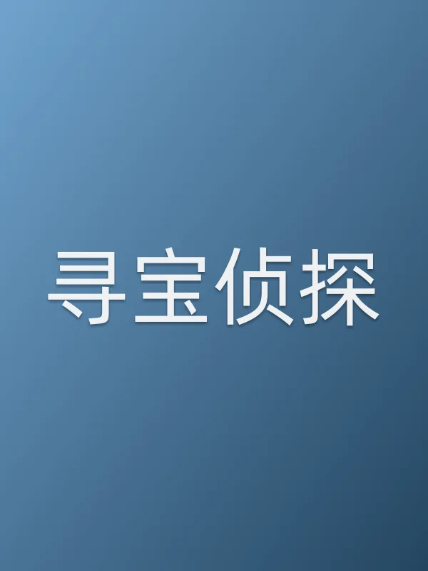 寻宝侦探