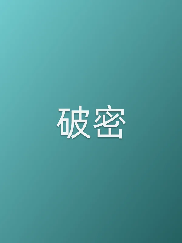 《破密电视剧