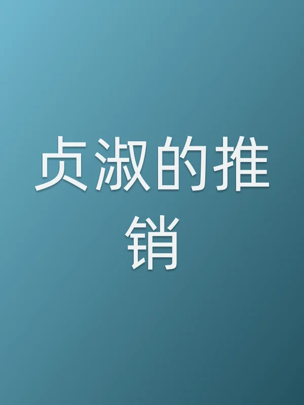 《贞淑的推销电视剧