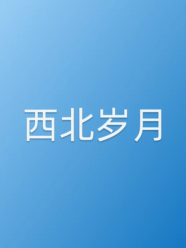西北岁月