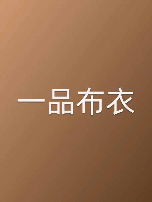 《一品布衣电视剧