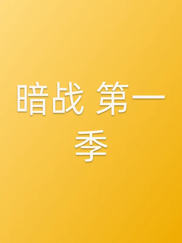 暗战 第一季
