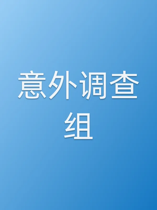 意外调查组