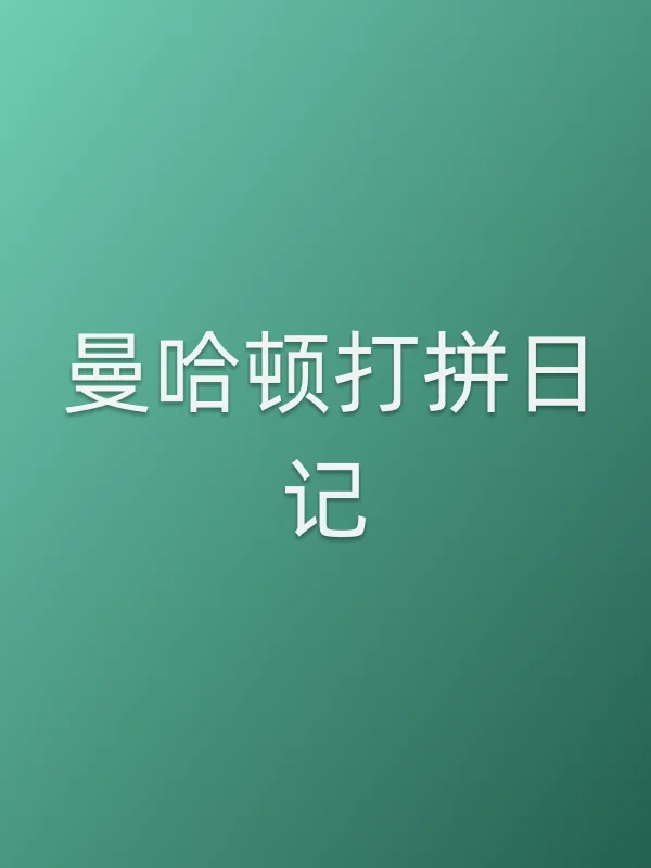 曼哈顿打拼日记