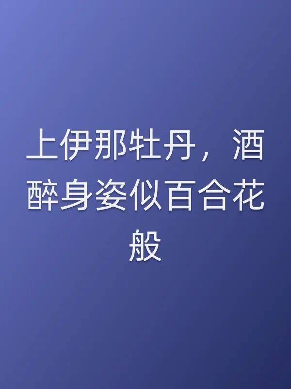 上伊那牡丹，酒醉身姿似百合花般