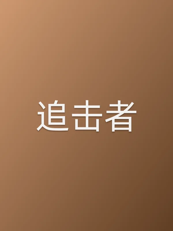 《追击者电视剧