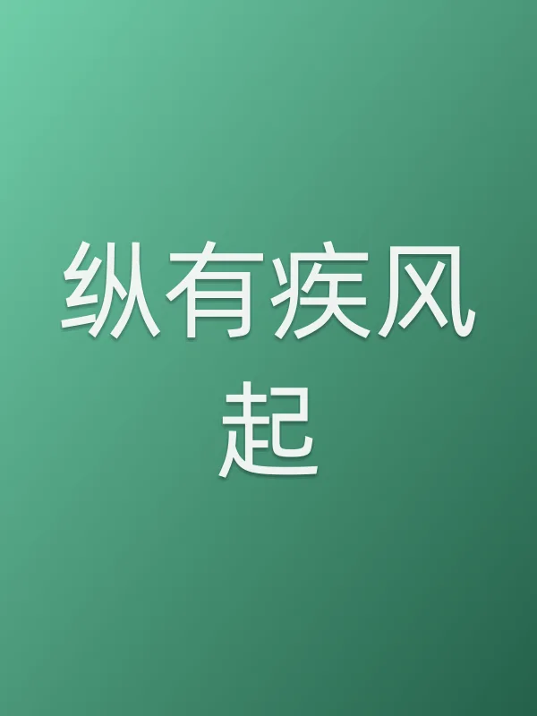 《纵有疾风起电视剧