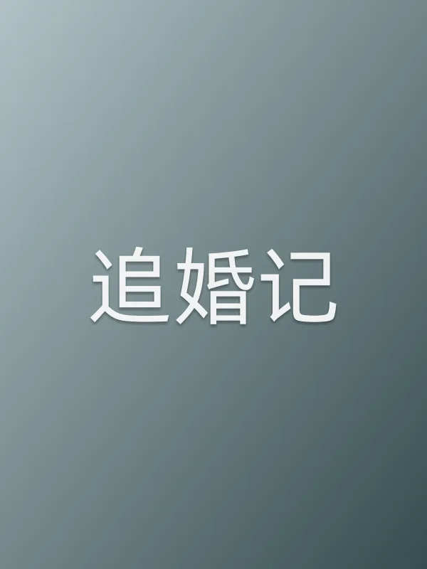 《追婚记电视剧
