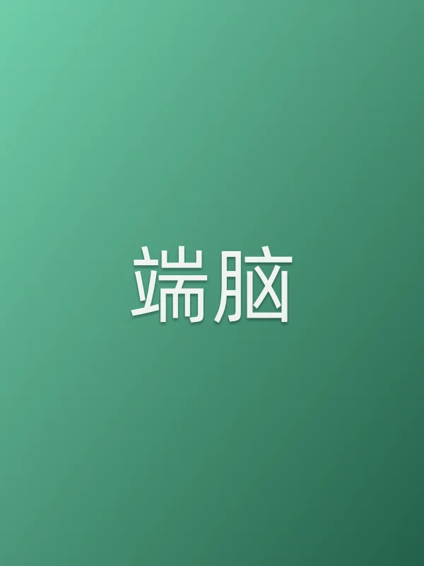 《端脑电视剧