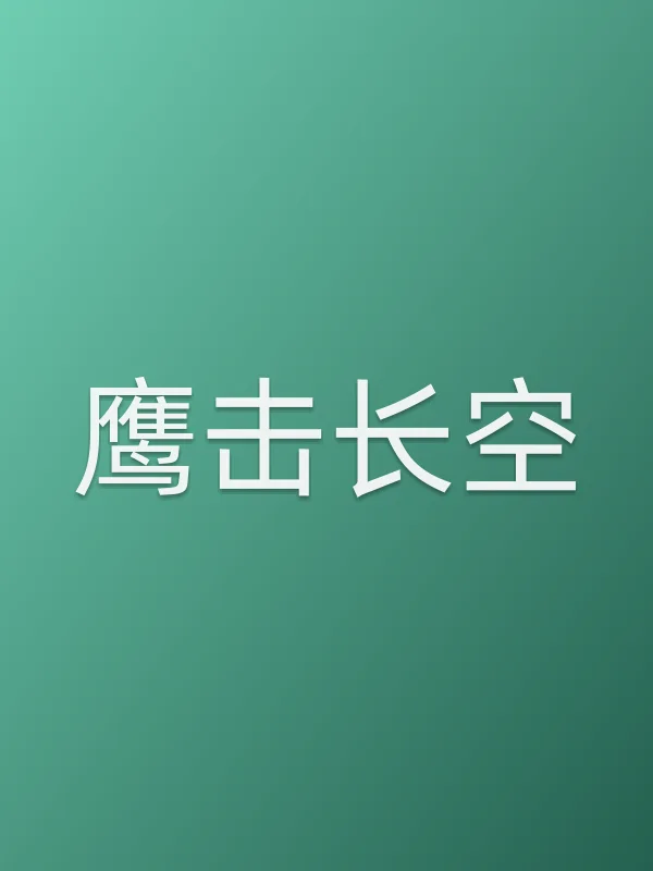 《鹰击长空电视剧