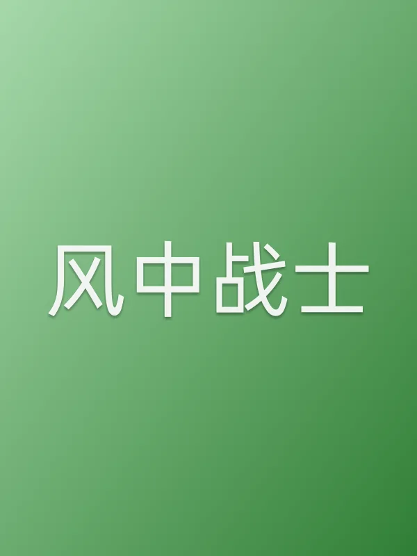 《风中战士电视剧