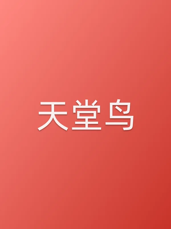 《天堂鸟电视剧