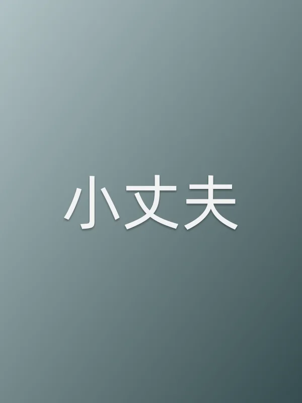 《小丈夫电视剧