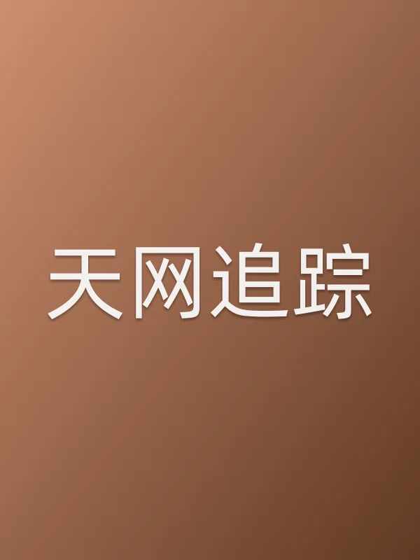 天网追踪