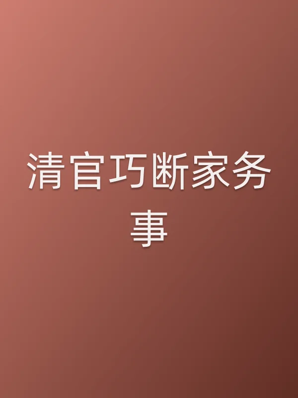《清官巧断家务事》电视剧