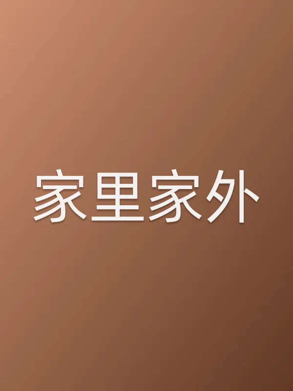 家里家外分集剧情介绍