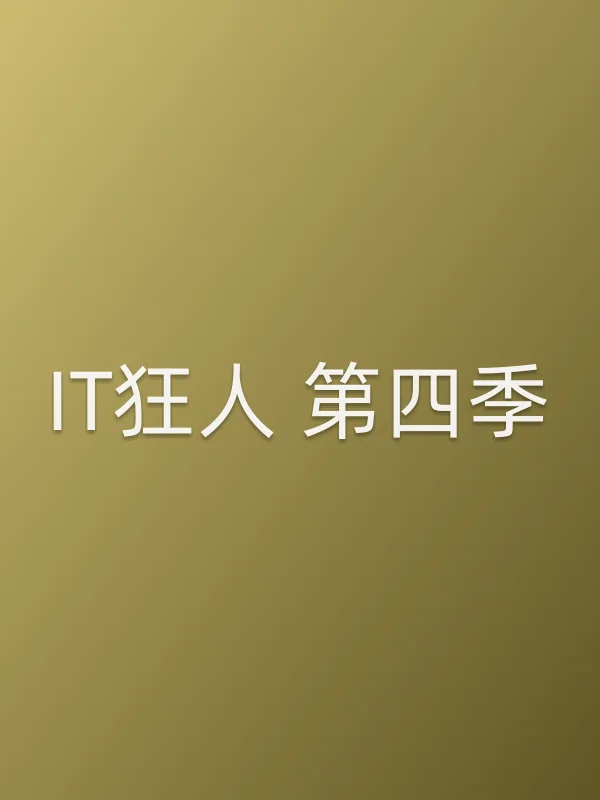 IT狂人 第四季