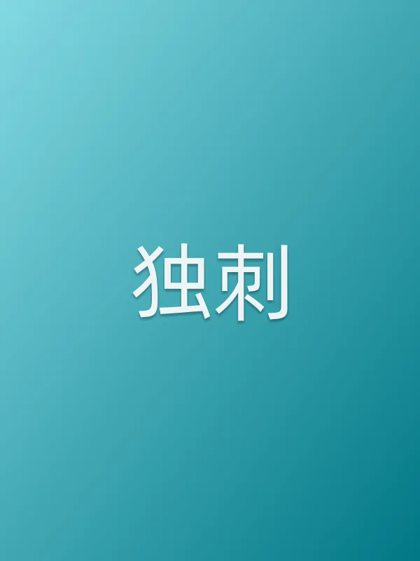 《独刺电视剧