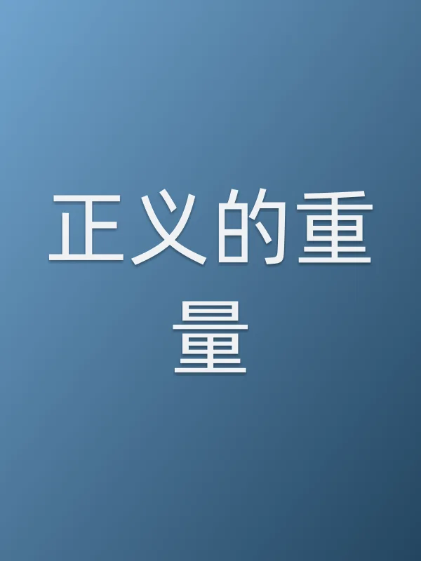 《正义的重量电视剧