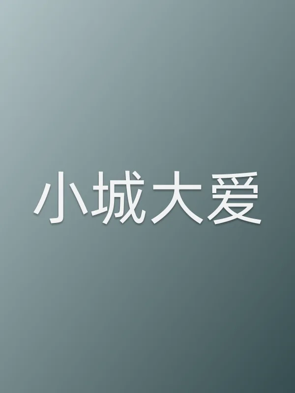 《小城大爱电视剧