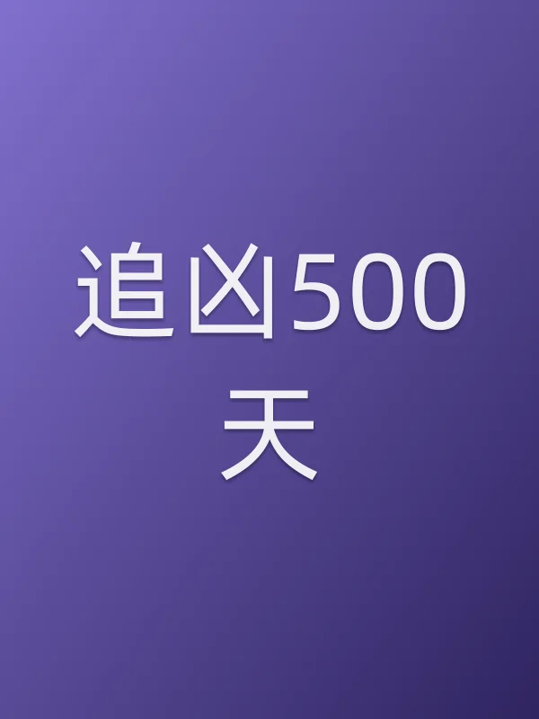 追凶500天