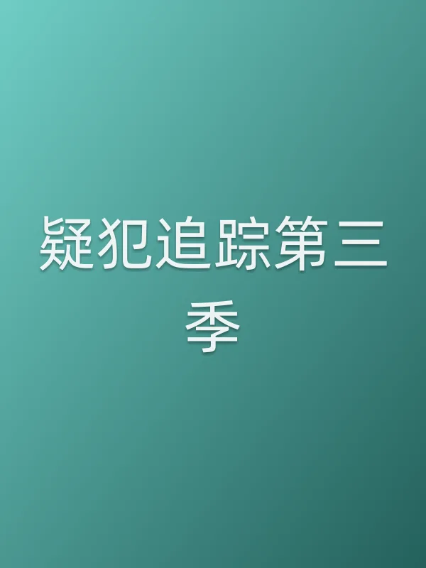 疑犯追踪第三季