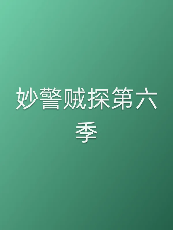 妙警贼探第六季