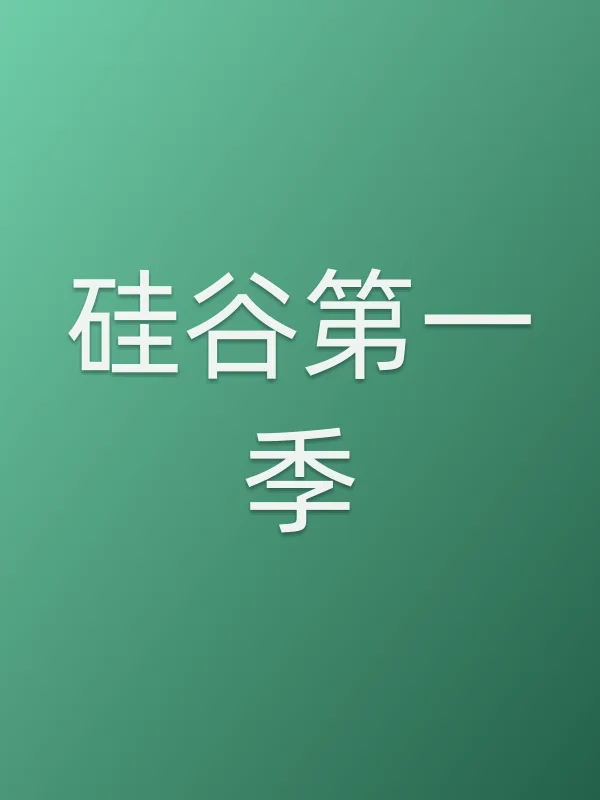 硅谷第一季