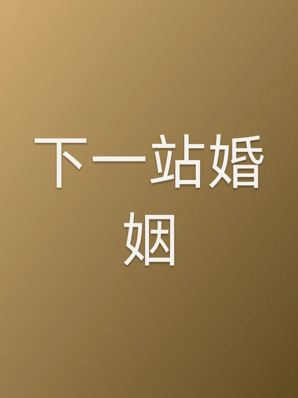 《下一站婚姻电视剧
