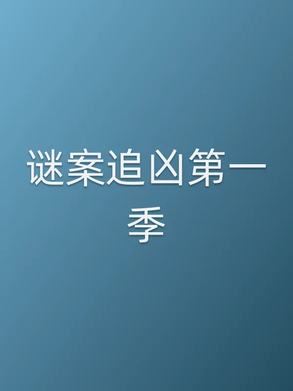 谜案追凶第一季