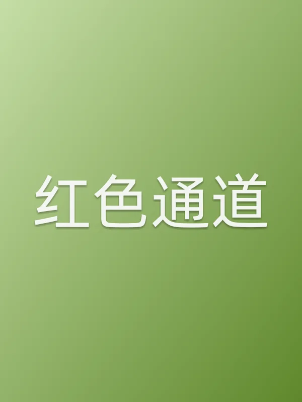 《红色通道电视剧