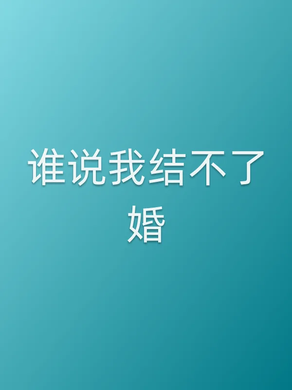 《谁说我结不了婚电视剧