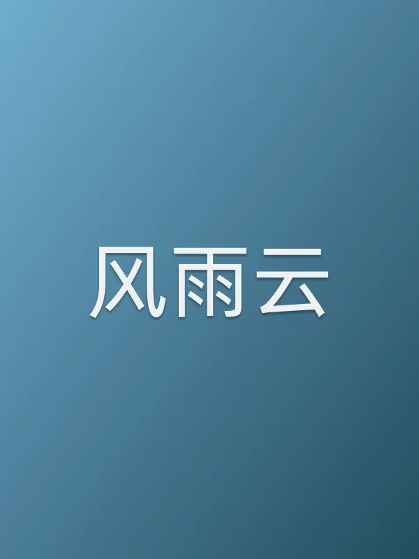 《风雨云电视剧
