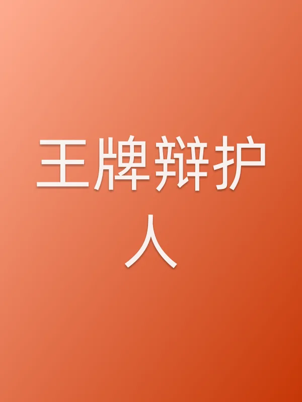 《王牌辩护人电视剧