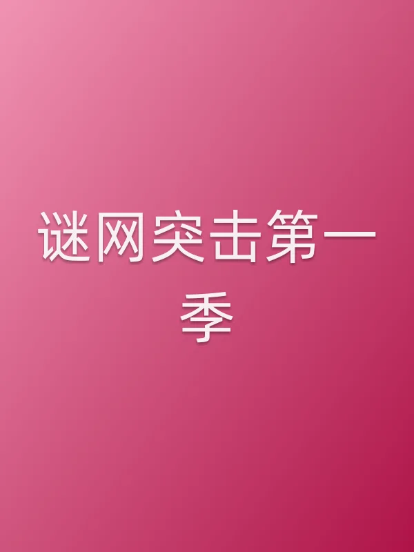 谜网突击第一季