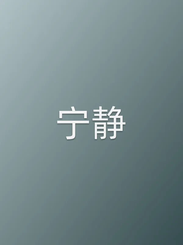 宁静个人资料