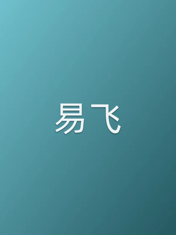 易飞