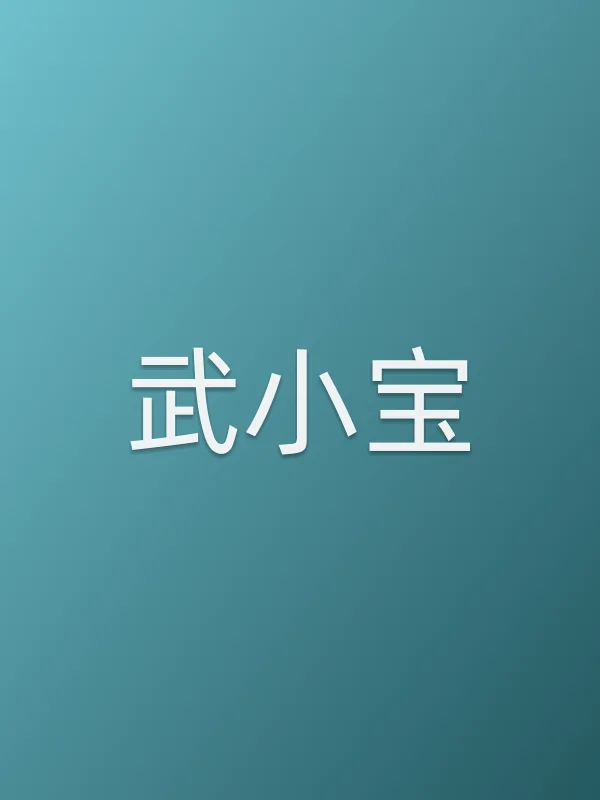 武小宝