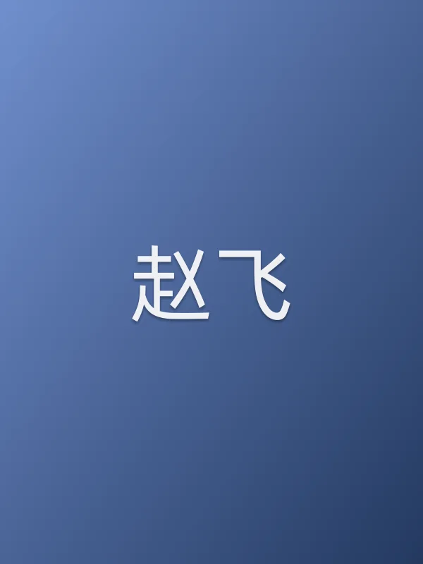 赵飞