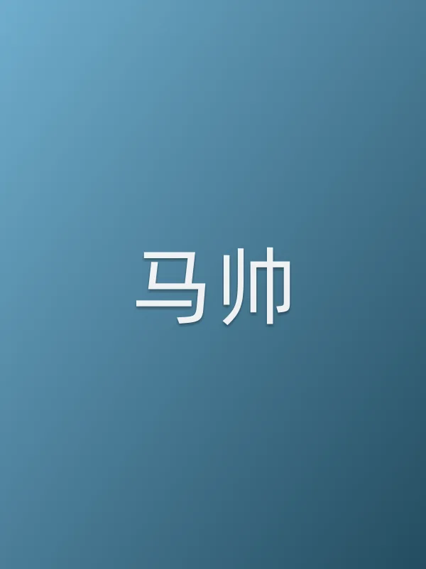 马帅个人资料