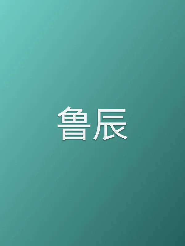 鲁辰个人资料